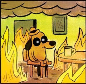 Create meme: this is fine, This is fine