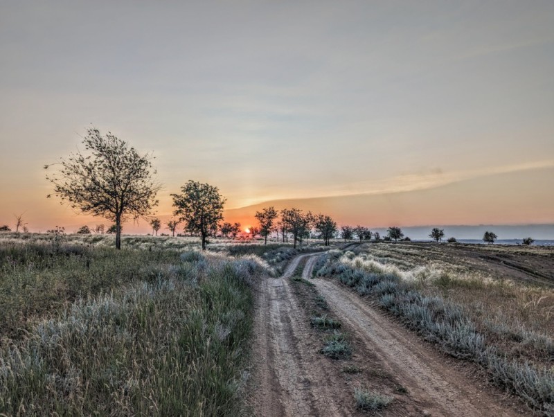 Create meme: road sunset , nature , field nature