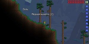 Create meme: Terraria, terraria with a friend, animation vs terrarium