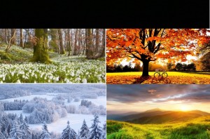 Create meme: autumn nature, autumn, landscape