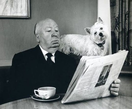 Create meme: Alfred Hitchcock, west highland white, breed west highland white terrier