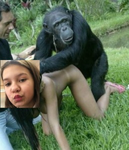 Создать мем: шимпанзе бонобо, бонобо (2014)