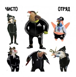 Create meme: people, Shrek in Adidas, the hare in the Adidas