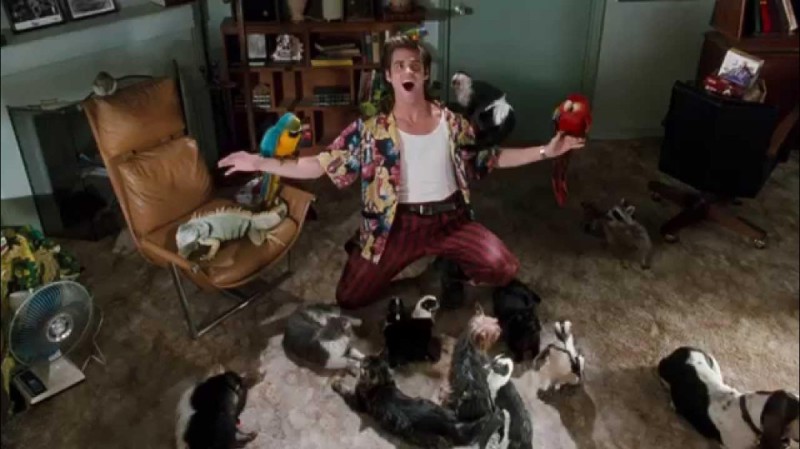 Create meme: ACE Ventura , Ace ventura wanted pets, Ace Ventura with animals