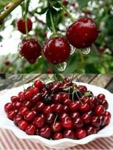 Create meme: cherry cherry, cherry berry