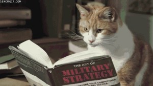 Создать мем: литература, книга, кошка