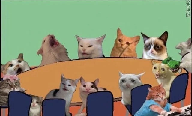 Создать мем: мемные коты, мемы с котами, мем кошка