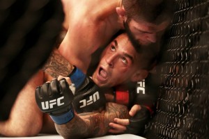 Создать мем: ufc бои, Хабиб Абдулманапович Нурмагомедов, ufc 242