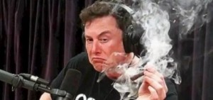 Create meme: Elon musk Joe Rogan, Elon musk smokes