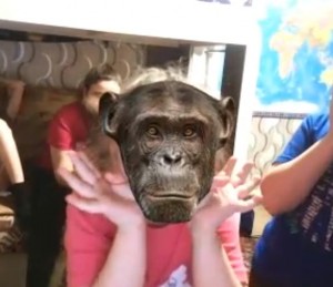 Создать мем: шимпанзе оливер, обезьяна шимпанзе, обезьяна морда