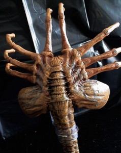 Create Meme Facehugger Facehugger Alien Facehugger Facehugger Pictures Meme Arsenal Com