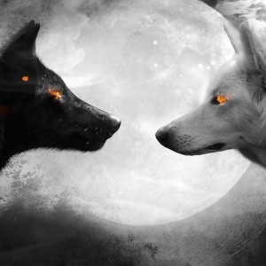 Create meme: wolf art, two wolves, dark wolf