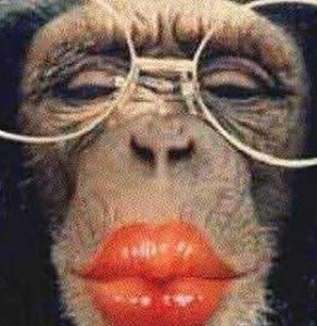 Создать мем: смешные аватарки с обезьянами, обезьяна в очках фото