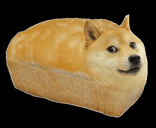Создать мем: собака doge, собака с хлебом мем, корги буханка