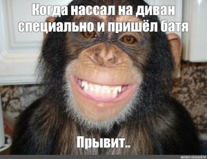 Создать мем: зубы шимпанзе, обезьяна смешная, улыбка обезьяны