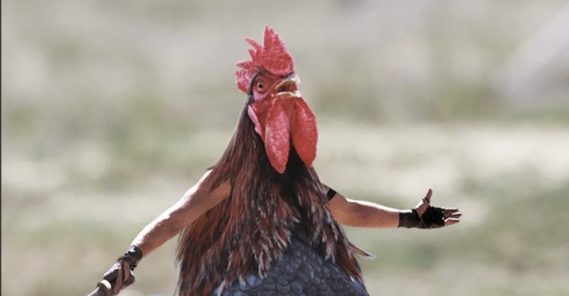 Create meme: cock face, cock joke, angry rooster