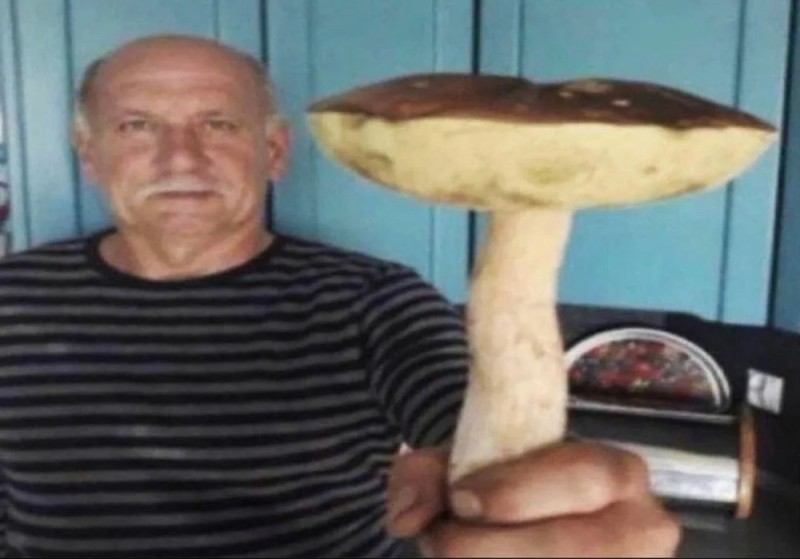 Создать мем: держи гриб, дед с грибом мем, дед с грибом