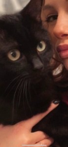 Create meme: cat, black cat, woman