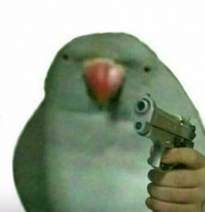 Create meme: Animal, a parrot with a gun meme