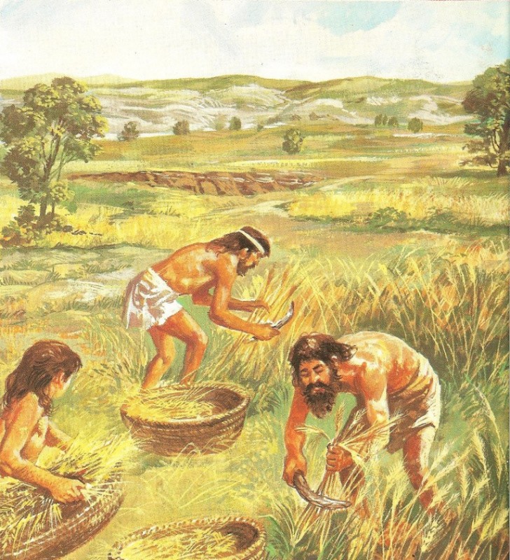 Create meme: agriculture of the ancient people, ancient farmers and pastoralists, the Neolithic revolution agriculture