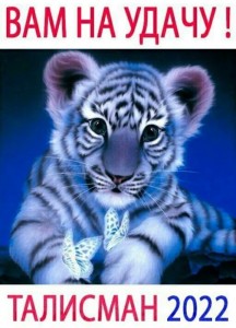 Создать мем: алмазная мозаика синий тигренок, тигренок, голубой тигр