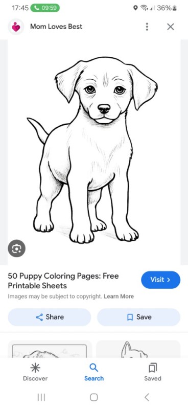 Create meme: Coloring book Jack Russell terrier puppy, dog coloring book for kids, puppy drawing