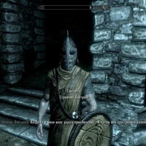 Create meme: skyrim nexus, when I used to be an adventurer then I took an arrow in the knee, the guard