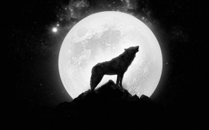 Создать мем: чёрный волк воет на луну, волк на фоне луны, волк воет на луну арт