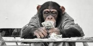 Create meme: Anna Chapman on Ren TV, monkey, monkey money