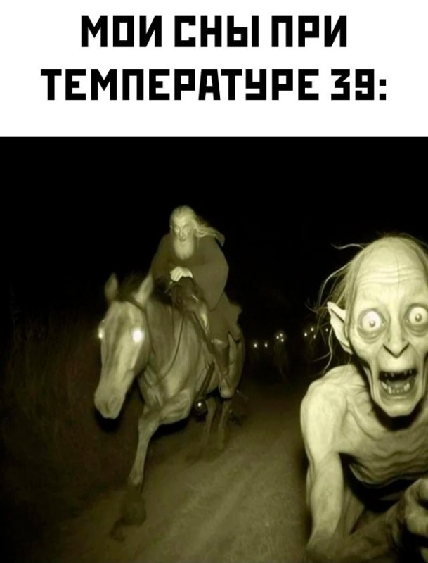 Create meme: very scary stories, memes are fun , scary stories for the night