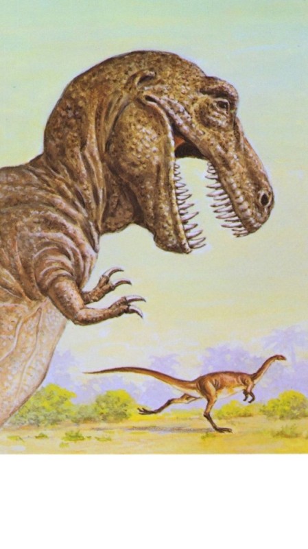 Создать мем: t. rex, тираннозавр динозавр, зденек буриан тарбозавр