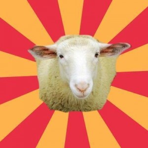 Создать мем: пастбище овец, hayvan, оспа овец
