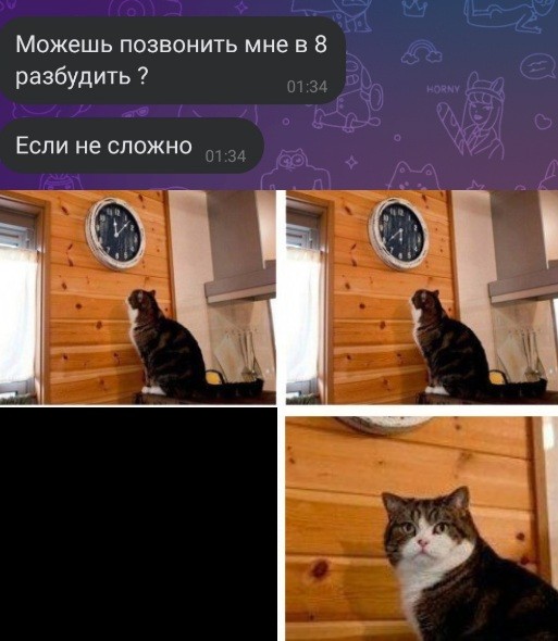 Create meme: memes with cats , the cat looks at his watch meme, meme cat 