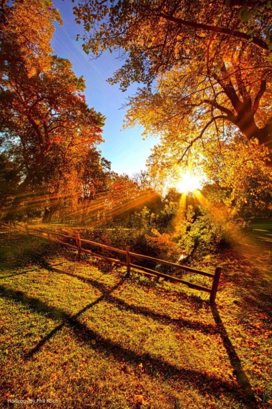 Create meme: autumn forest, autumn sun, the autumn sun