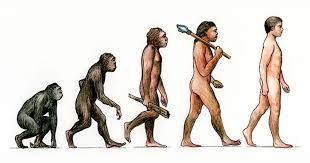 Создать мем: теория дарвина, теория эволюции человека, эволюция человека по годам