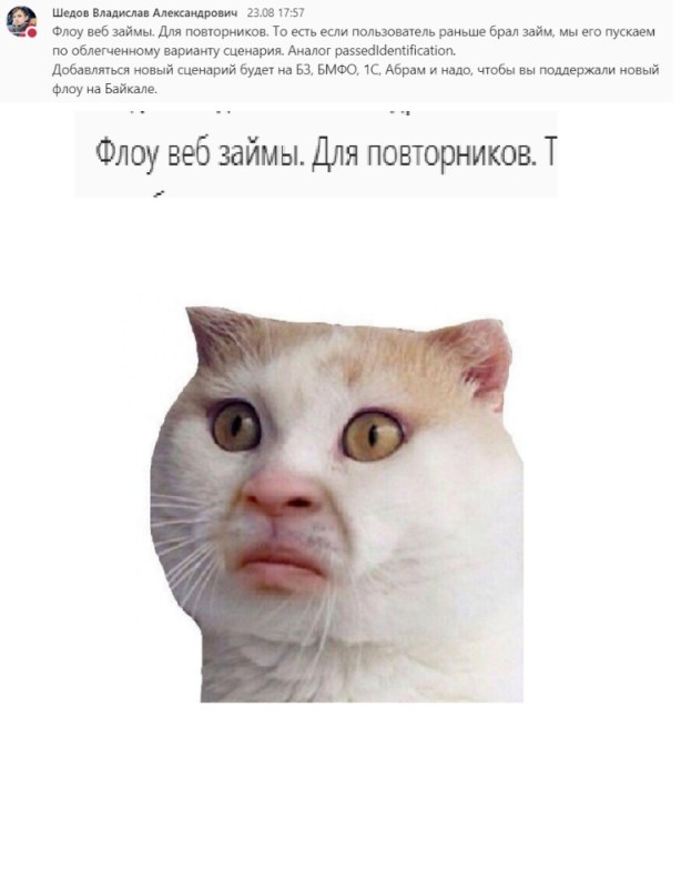 Создать мем: кот юмор, лицо кота, кот улыбается мем