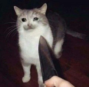 Create meme: cat, cry cat meme, happy cat with a knife