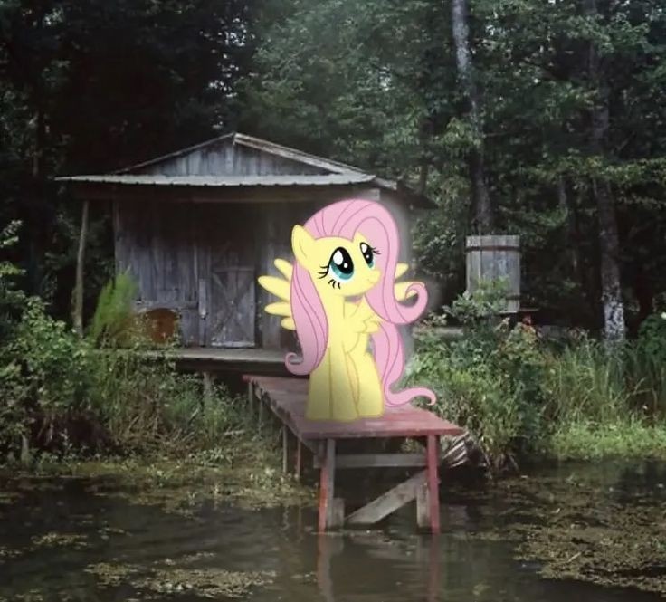 Create meme: my little pony fluttershy , pony pinky, fluttershy 