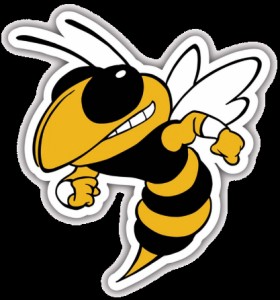 Create meme: logo zev tech, the wasp stung, georgia tech yellow jackets
