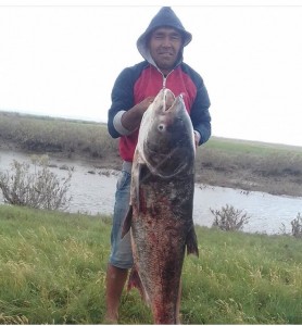 Создать мем: пекилянка рыбалка, asian sheepshead wrasse, толстолобик