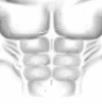 Create meme: shirt for roblox muscles, roblox t shirt muscle, press roblox t shirt