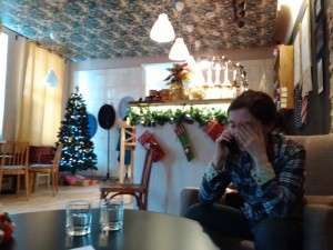 Create meme: to rent a decoration for the new year Volgodonsk, the owner of cafe Camellia George, cafe