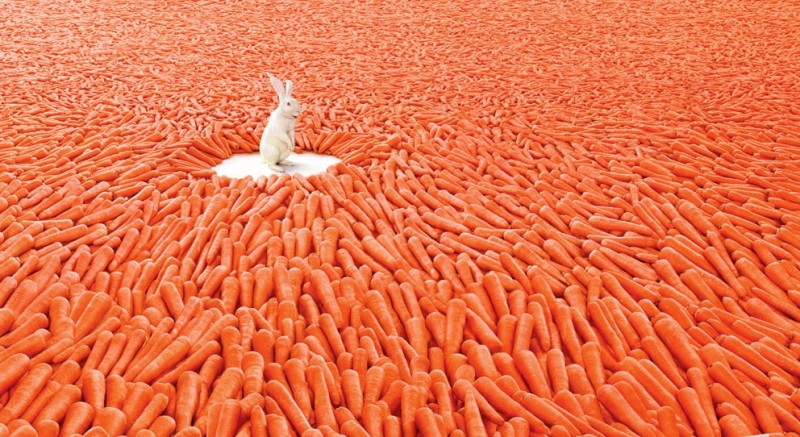 Создать мем: морковка, много моркови, много морковки