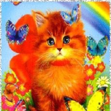 Create meme: happy birthday ginger cat animation, ginger kitten , flashing kittens