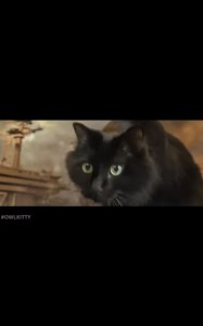 Создать мем: кошка черная, черный кот ужасы, owlkitty