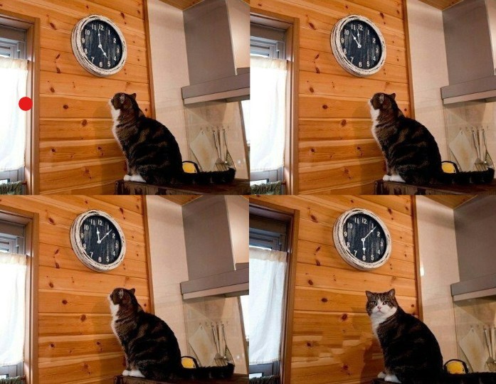 Создать мем: пора кот, кот смотрит на часы, кот смотрит на часы мем