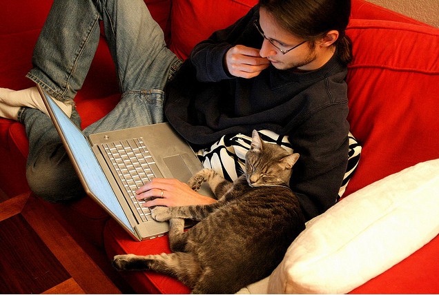 Создать мем: кот за компьютером, котик за компом, экстремальное программирование