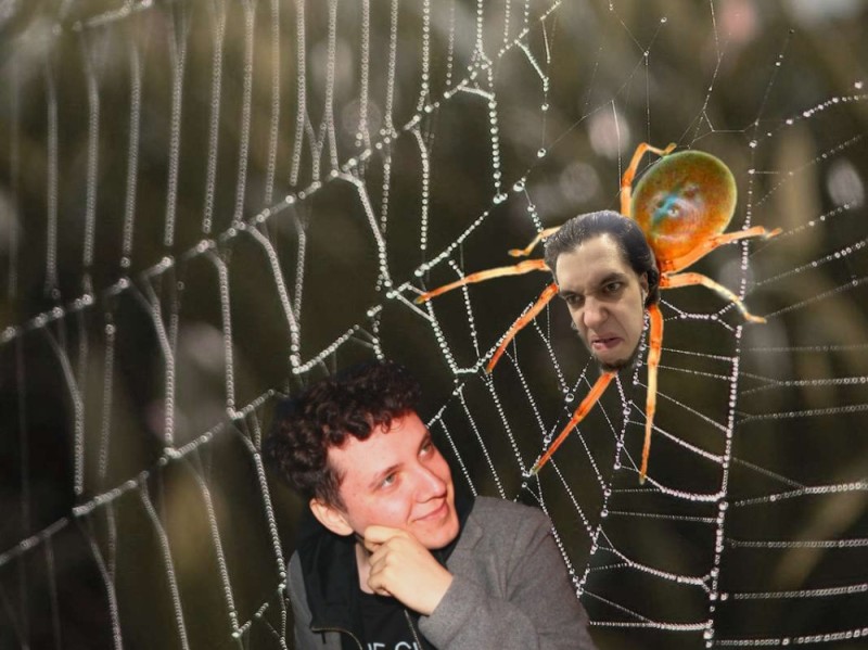 Создать мем: паук паук, паутина, паук плетет паутину
