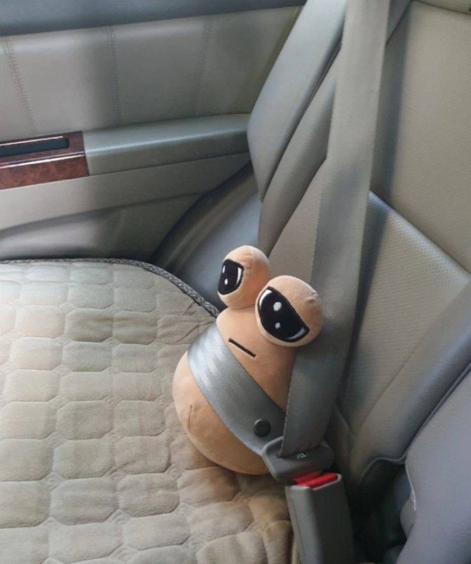 Create meme: telegram, soft child seat, domokun in the back seat