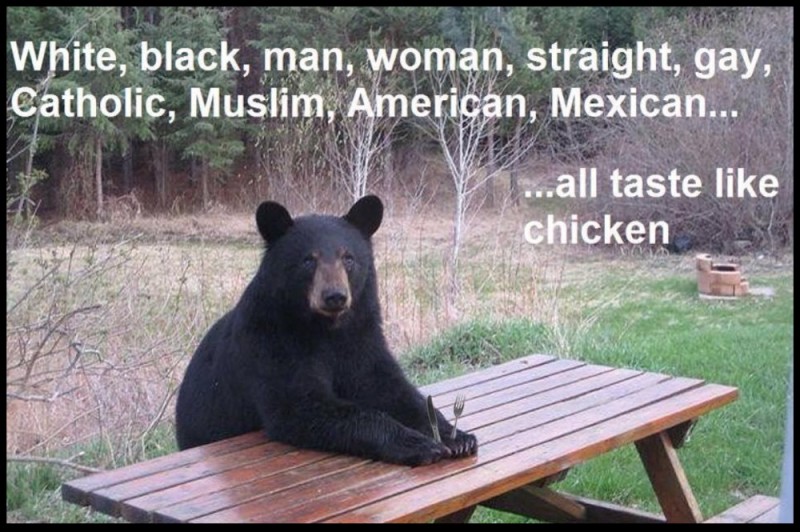 Create meme: the bear is funny, bear on the bench meme, the bear at the table
